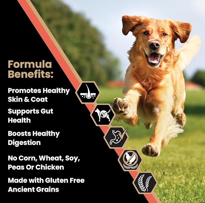 VICTOR Super Premium Dog Food — Sensitive Skin and Stomach — Salmon Meal & Brown Rice Recipe Dry Kibble — Gluten Free, No Chicken, Ideal for Dogs with Allergies — Adult and Puppy Food, 15 lb