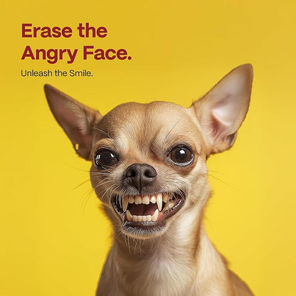 DOCO Dog Teeth Cleaning Wipes Dental Finger Wipes for Cats & Dogs Remove Plaque & Tartar, Freshen Breath, No Rinse, Easy & Effective Pet Tooth Cleaning Kit for Oral Care (Chicken Flavor, 100 Count)