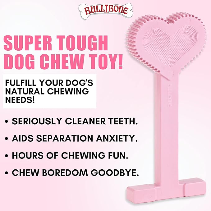 Bullibone Nylon Dog Chew Toy Nylon Bone - Improves Dental Hygiene, Easy to Grip Bottom, and Permeated with Flavor (Peppermint, Large - Single)
