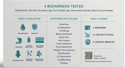 Comprehensive Gut Health Check for Dogs - at-Home Stool Test for Digestion, Immune & Leaky Gut Symptoms Like Diarrhea, Allergies, Itchy Skin, Bad Breath - Easy Non-Invasive Testing
