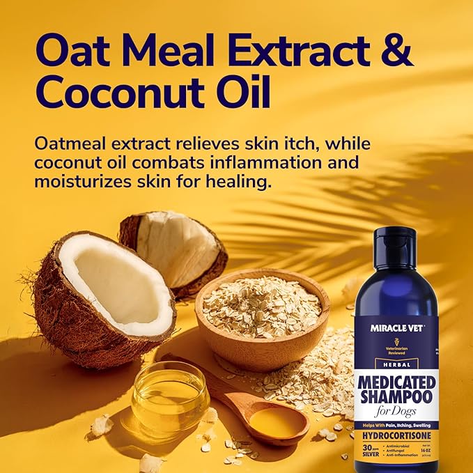 Miracle Vet Medicated Dog Shampoo for Itchy Skin Relief - Dog Allergy Relief, Yeast Infection, Hot Spot & Dry Skin Anti-Itch Treatment, Antifungal for Dogs - Hydrocortisone (16 oz)