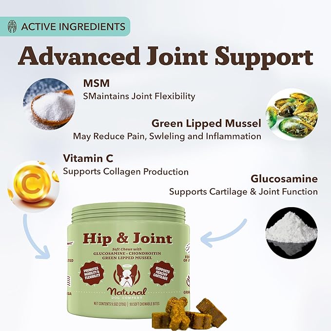 Natural Dog Company Hip & Joint Supplement for Dogs – Supports Mobility, Flexibility & Comfort, Glucosamine, Chondroitin, MSM & Turmeric, Chicken Flavor, 90 Count