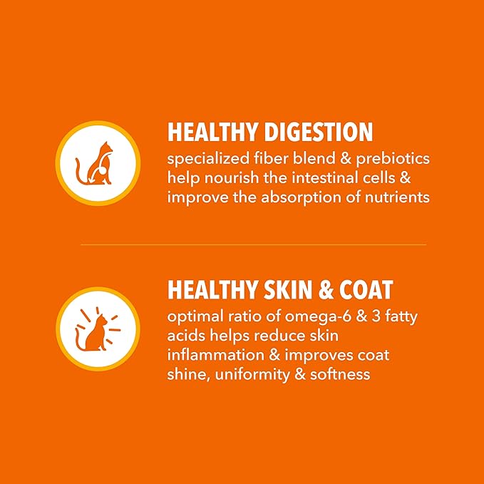 IAMS Proactive Health Adult Healthy Dry Cat Food with Chicken, 16 lb. Bag