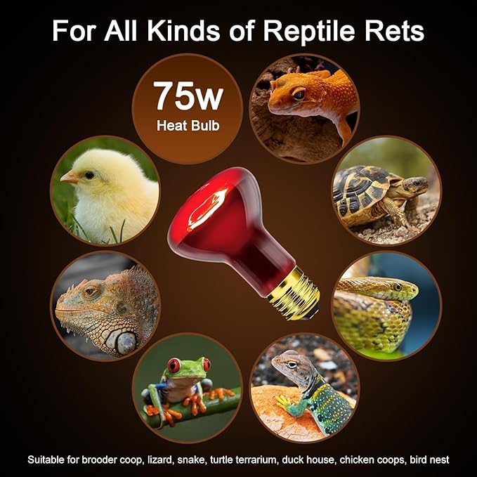 MISDOOD Reptile Heat Lamp 75W, Heat Lamp Bulbs for Reptiles and Amphibians, UVA Daylight Basking Light Suitable for Bearded Dragons, Lizards, Turtles, and Chickens (2 Pack)