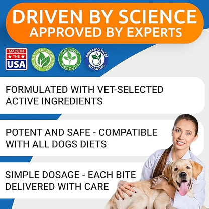 BARK&SPARK Dog Allergy Relief Chews (180 Immune Treats) - Anti-Itch Skin & Coat Supplement - Omega 3 Fish Oil - Itchy Skin Relief Treatment Pills - Itching&Paw Licking - Dry Skin & Hot Spots -Chicken