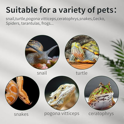 waazoorep Reptile Glass Terrarium Tank 12 * 12 * 8" Full View with Top Ventilation, Amphibians Box Habitat Enclosure Cage for Frog,Spiders,Dubia Cockroach,Praying Mantis,Cricket,Tarantula,Hermit Crab