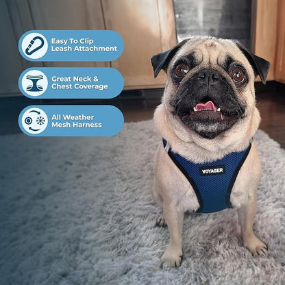 Voyager Step-in Air All Weather Mesh Harness and Reflective Dog 5 ft Leash Combo with Neoprene Handle, for Small, Medium and Large Breed Puppies by Best Pet Supplies - Blue/Black Trim, X-Small
