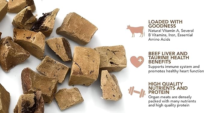Organic Freeze-Dried Beef Treats — 100% Single-Ingredient Beef — Grain-Free, Gluten-Free, High Protein, Allergy-Friendly Topper & Reward — Made in USA (Pack of 3)