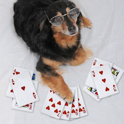 MAOOOOB 15PCS Funny Poker Dog Toys- Plush Interactive Toys with Crinkle Paper for Small, Medium Puppies- Fun Novelty Play- Cool Stuffed Gifts for Dog Birthday(Red)