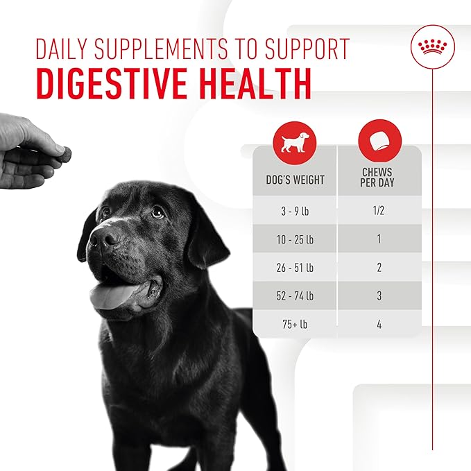 Royal Canin Digestive Dog Supplement Soft Chews for Adult Dogs, 60 Count (Pack of 4)