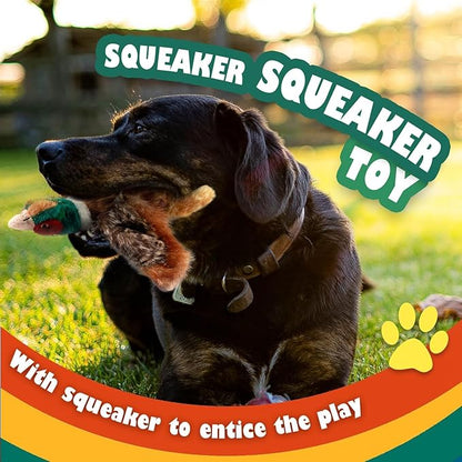 ALL FOR PAWS Dog Interactive Pheasant Toys, Squeaky Dog Toys, Stuffed Animal Dog Hunting Plush Toy, Large