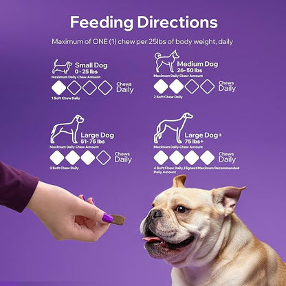 Dog Probiotics for Yeast, Itchy Skin and Itchy Ears, Allergy Relief, Daily Immune Support with Prebiotic & Digestive Enzymes (Gut Health) for Dogs, Reduce Diarrhea, Constipation & Gas Relief - 90ct