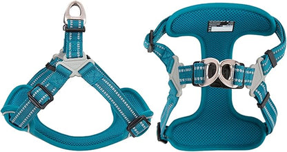 TRUE LOVE Dog Harness TLH5991 Anti Pull Safety Vest Step-in Style Harness for More Comfort and Less Tug Reflective Pet Harness by Truelove Blue