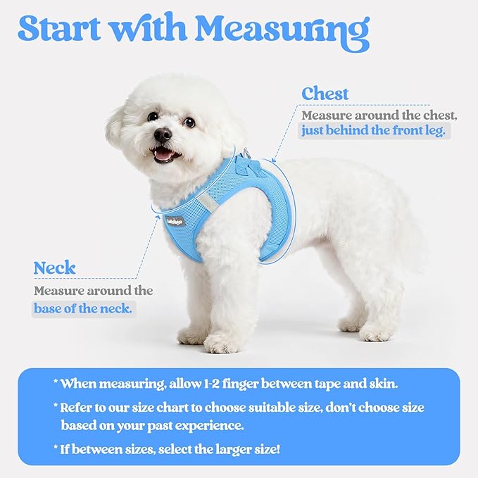 rabbitgoo Dog Harness Small Sized and Leash Set, Step in Soft Light Puppy Vest, Breathable Mesh Pet Harness, Reflective for Safe Easy Walking, Blue S