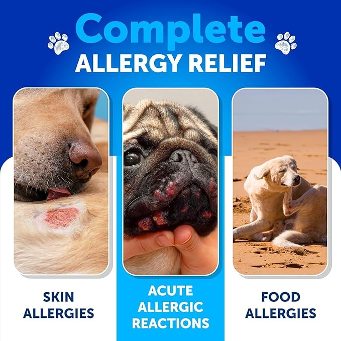 Dog Allergy Relief Chews - Itching Skin Relief for Dogs - Fish Oil - Omega 3 - Seasonal Allergies Pills - Skin & Coat, Anti Itch,Hot Spots Treatment - Canine Immune Health Supplement - 120 Soft Treats