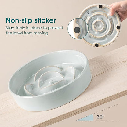 vancasso Slow Feeder Dog Bowl, 0.6 Cups Ceramic Dog Food Dish for Fast Eaters Small Breed, Puzzle Bowl for Small Dogs and Cats, Grayish Cyan