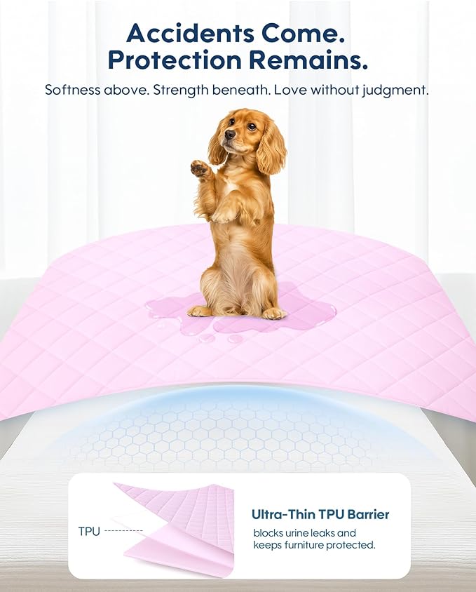 KASBAH Dog Cooling Blanket & Mat, Waterproof Pet Blankets for Couch, Bed and Car Seat, Washable Reversible Dog Blanket Throw (Cool & Warm), Q-MAX >0.5, 40 x 56 Inch