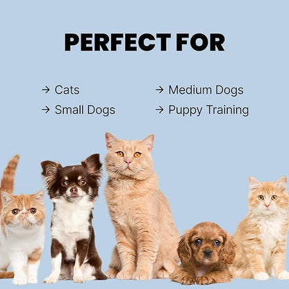 MalsiPree Cat & Dog Slow Feeder Bowl – Improve Digestion – Stainless Steel Water Bowl & Anti-Spill Silicone Mat – for Small & Medium Breeds – 15 oz - Puppy Slow Feeder