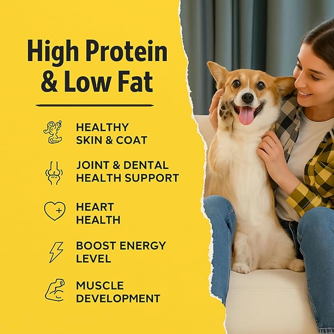 Chicken Jerky Dog Treats Made in USA | Chicken Dehydrated Breast | Training Treats | Human Grade, High Protein, Single Ingredient Dog Treats | Grain-Free, Hypoallergenic | All Breeds, 4 oz