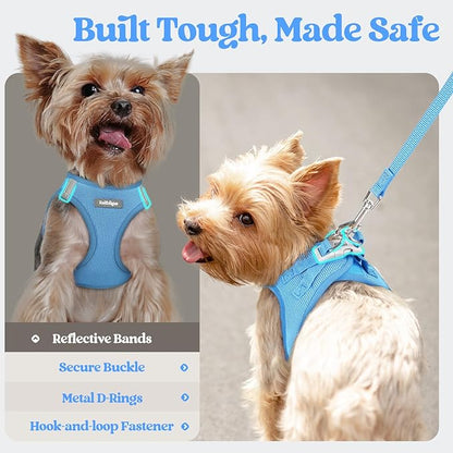 rabbitgoo Dog Harness Small Sized and Leash Set, Step in Soft Light Puppy Vest, Breathable Mesh Pet Harness, Reflective for Safe Easy Walking, Blue S