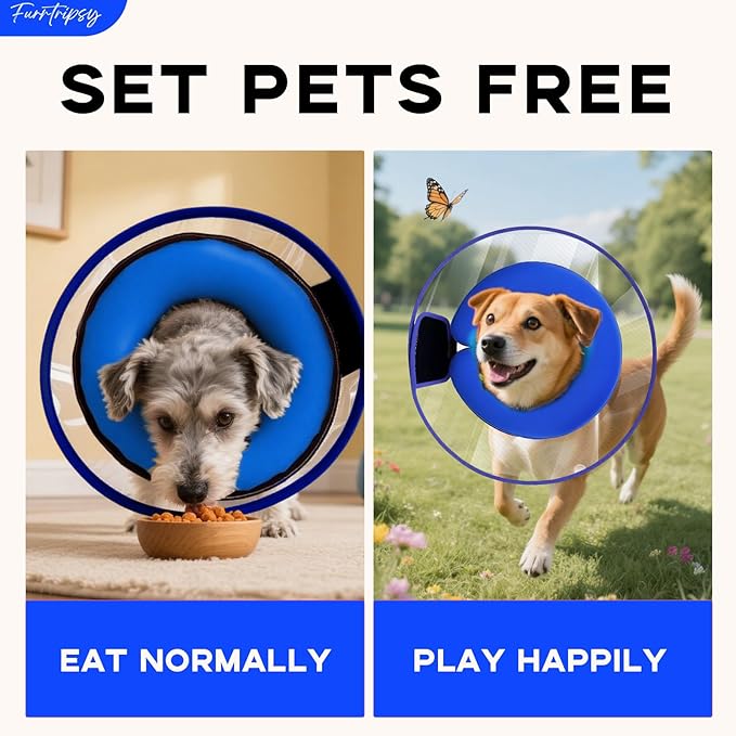 Inflatable Dog Cone Collar with Detachable Sturdy Shield,Soft&Lightweight-Ideal for Post-Surgery Recovery and Daily Wear,Suitable for Small Medium Large Dog Breeds(Blue,L)