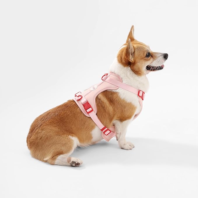 HNS1002G Arlo Medium Adjustable Soft Padded No Pull Pet Harness with 3 Buckles and 3 Leash Clips, Paloma