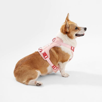 HNS1002G Arlo Medium Adjustable Soft Padded No Pull Pet Harness with 3 Buckles and 3 Leash Clips, Paloma