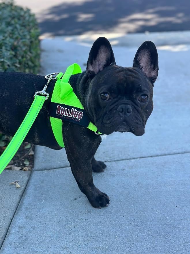 BULLHUG Adjustable Dog Harness– No Pull, No Choke – for English Bulldogs, French Bulldogs, Pugs & Broad-Chested Breeds – Easy, Safe Walks (NEON Green, XL)