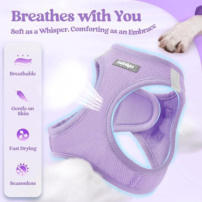 rabbitgoo Dog Harness Small Sized and Leash Set, Step in Soft Light Puppy Vest, Breathable Mesh Pet Harness, Reflective for Safe Easy Walking, Light Purple XS