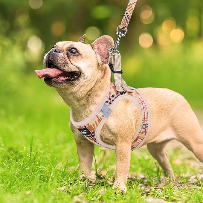 PUPTECK Dog Harness and Leash Set for Small Medium Dogs No Pull Step-in Soft Mesh Puppy Cat Vest Harnesses Reflective at Night, Plaid Pattern Beige XS