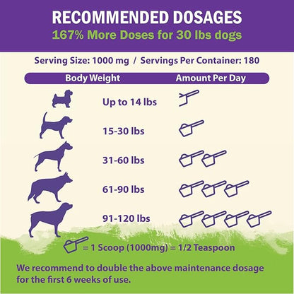 ZENAPET Dog Immune Support Premium Powder Topper, Turkey Tail, Spirulina & Beta-Glucan, Supports a Healthy Immune System & Digestion, Human-Grade, Made in USA