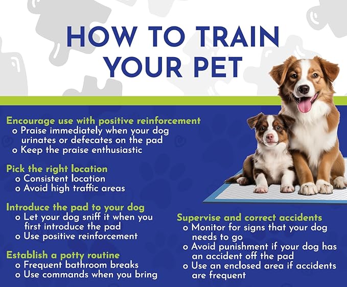 Fresh Scent Extra Large Pet Training Pads - Ultra Absorbent Pads for Dogs Leak-Proof, Odor Control Pee Pads – Quick Dry Potty Pad for Puppies, Large Dogs, & Senior Pets (34" x 28", 70 Count)