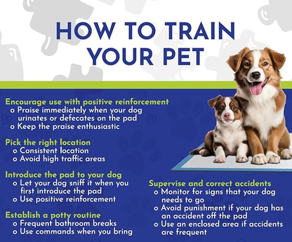 Fresh Scent Extra Large Pet Training Pads - Ultra Absorbent Pads for Dogs Leak-Proof, Odor Control Pee Pads – Quick Dry Potty Pad for Puppies, Large Dogs, & Senior Pets (34" x 28", 70 Count)