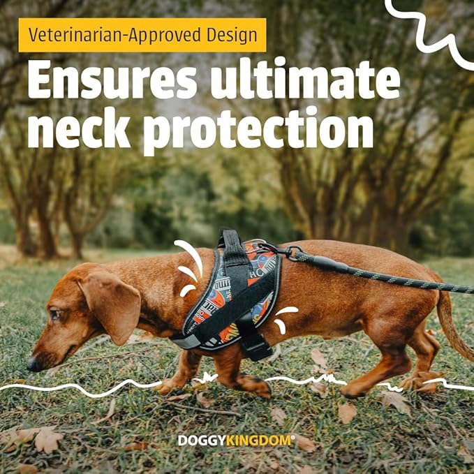 Non Pull Dog Harness with Patch Panels and Handle, Adjustable, Reflective, No Choke, Heavy Duty Easy On Service Dog Vest Harnesses for Medium Large Small Sized Dogs - Camouflage Pink, L