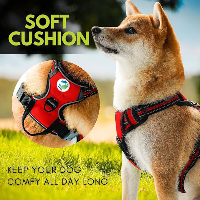 Ziggy Pet Dog Harness Adjustable Nylon Mesh Vest with Leash Clips (Red, Medium)