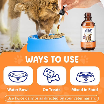 Collagen for Dogs - Liquid Collagen Supplement Drops for Dog, Itch Relief for Dogs, Boosts Skin & Coat, Joint Health, Digestion, Immunity, 60ml