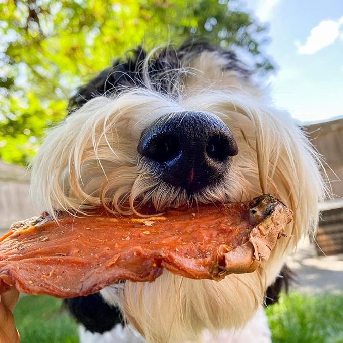 BRUTUS & BARNABY Sweet Potato (8oz) + Training Treats for Dogs (8oz)