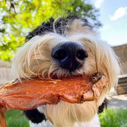 BRUTUS & BARNABY Sweet Potato (8oz) + Training Treats for Dogs (8oz)