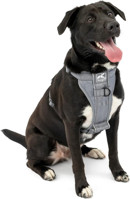 Kurgo Tru-Fit Smart Dog Walking Harness - Comfortable Fit - Adjustable Harness - Reflective Pet Wear - Quick Strap Release - Daily Walk Accessory - Includes Seat Belt Loop - Grey - X-Large