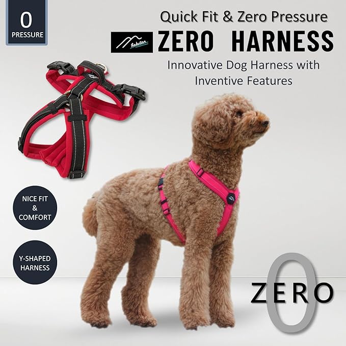 [白山:Hakusan] Zero Dog Harness Basic Type, Safe - No chocking/Hard to Disconnect, Great fit - Easy Put on and Off/Adjustable, Reflector, M - Medium Dog, Two-Tone Orange×Yellow