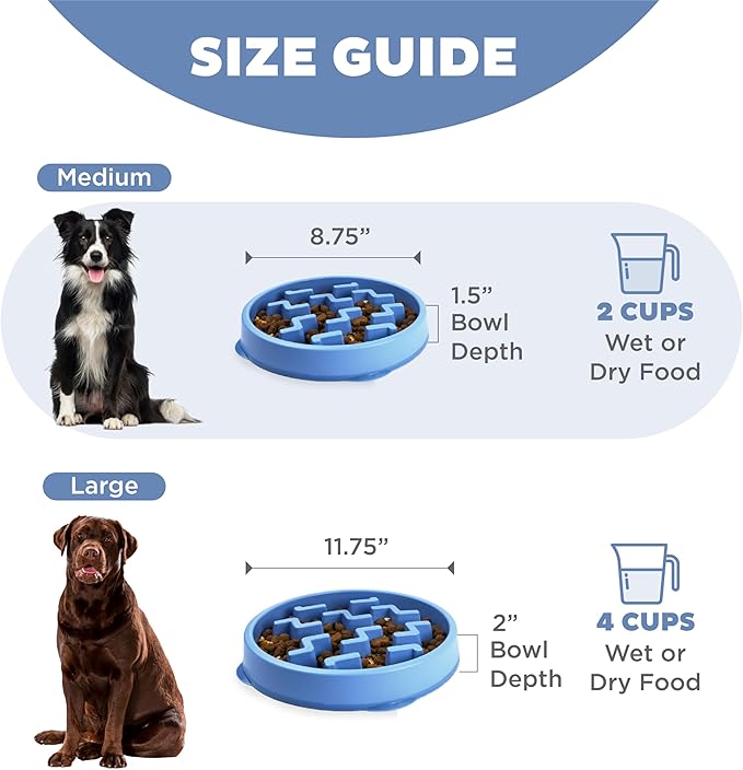 Outward Hound Medium Slow Feeder Bowl, Puzzle Maze for Fast Eaters, Small to Medium Dogs, Helps Prevent Bloat & Aid Digestion, Holds 2 Cups Wet or Dry Food, Non-Slip, Made Without BPA, Blue