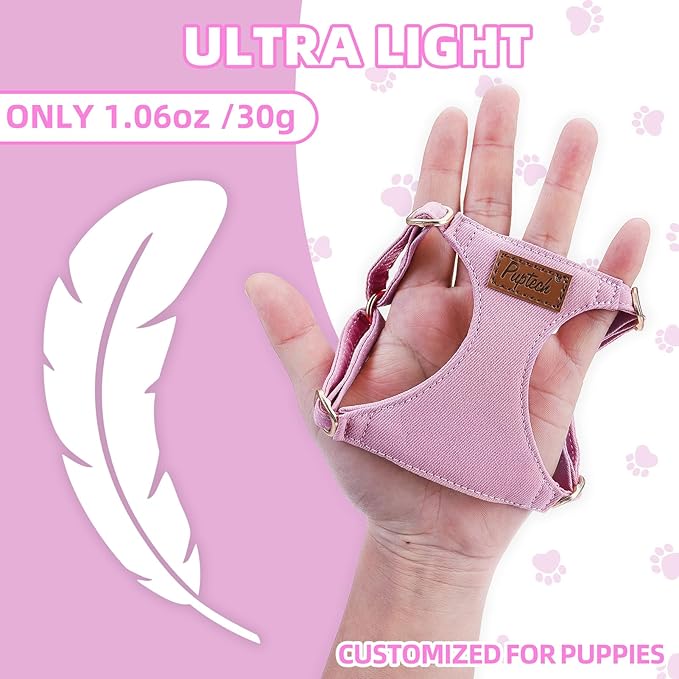 PUPTECK Dog Harness and Leash Set Small Sized, Step-in Cute Puppy Harness, Soft Lightweight Padded Vest, Escape Proof No Pull Pet Harnesses Easy for Walking, Purple, XXS