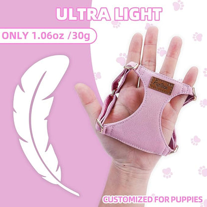 PUPTECK Dog Harness and Leash Set Small Sized, Step-in Cute Puppy Harness, Soft Lightweight Padded Vest, Escape Proof No Pull Pet Harnesses Easy for Walking, Purple, XXS