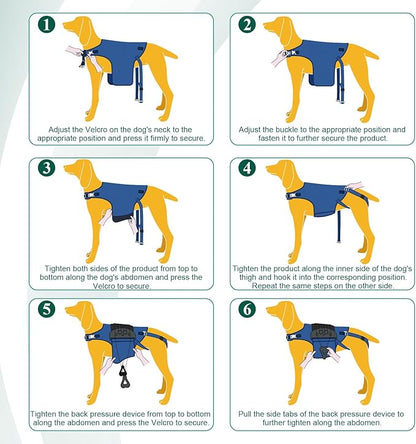 Dog Back Brace for IVDD, Arthritis, Slipped and Herniated Discs – Provides Back Support and Pain Relief, Stabilizes Spine for Surgical Recovery and Mobility, Dogs Back Disease Prevention(Blue,XL)