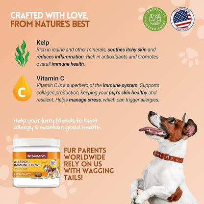 Herbion Pets Allergy + Immune Chews with Kelp & Vitamin C, 120 Soft Chews, Supports Immunity, Skin & Coat Health, Relieves Itchy Skin, Made in USA, Natural Vegetable Flavor, for Dogs 12 Weeks+, Pack 1
