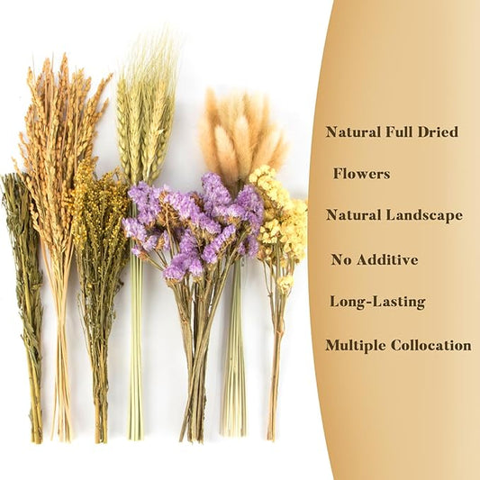 Sukh 60Pcs Nature Flower Herb Hamster Bedding - Cage Enclosure Habitat Decor Mate Small Animal Natural Ear of Grain Sprays for Syrian Dwarf Hamsters Gerbils Rabbit Other Pets