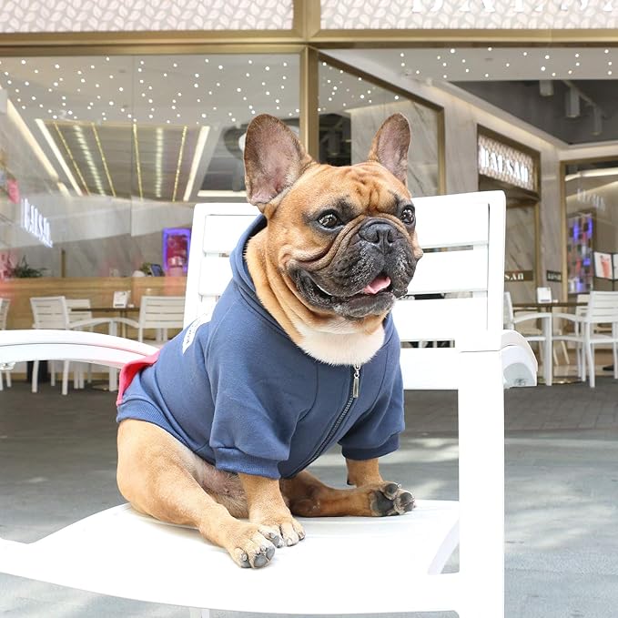 iChoue Pug Clothes Hoodies for Dogs Puppy French Bulldog Frenchie English Boston Terrier Bully Pitbull Sweatshirt Sweater Clothing Cold Weather Winter Coats - Navy/Small