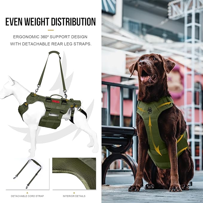 OneTigris Dog Lift Harness for Large Dogs, Dog Hip Support Brace, Full Body Dogs Lifter with Handles Invictus Multifunctional Mobility Assistance Vest for Back Legs (Green, Small)