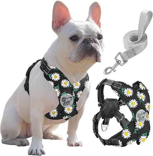 Pawaboo Small Dog Harness and Leash Set, Puppy Harness X-Frame No Pull No Choke, Dog Vest Harness Adjustable for Small Medium Sized Dogs,Soft Breathable Pet Harness for Walking Outing, L, Black Daisy