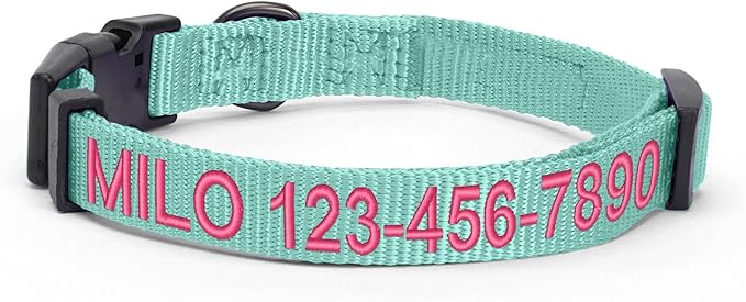 Pawtitas Personalized Large Dog Collar - Embroidered with Name & Phone Number - Adjustable, Customized for Large Dogs & Puppies - Teal